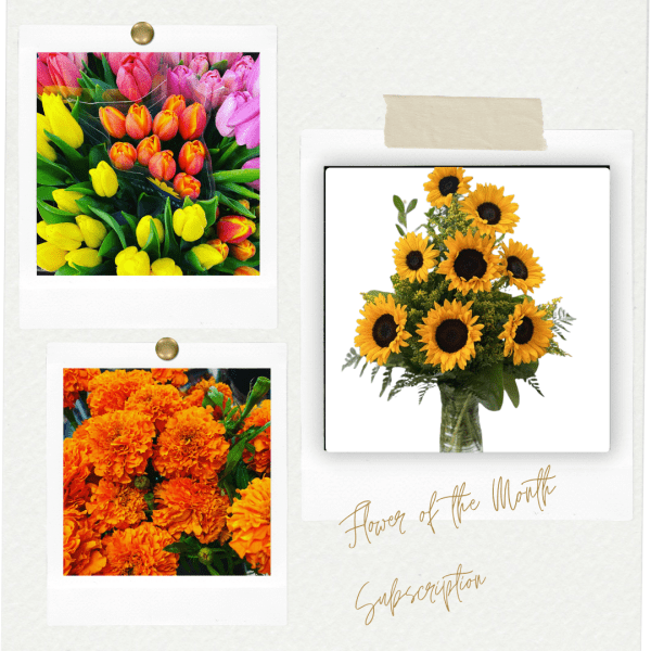 monthly-flower-subscription.png