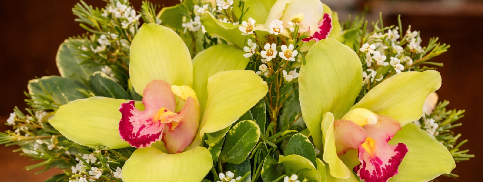 Orchid delivery in Las Vegas by DiBella Flowers and Gifts