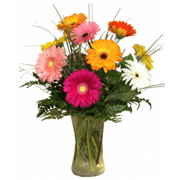 small-gerbera-daisy-arrangement.png