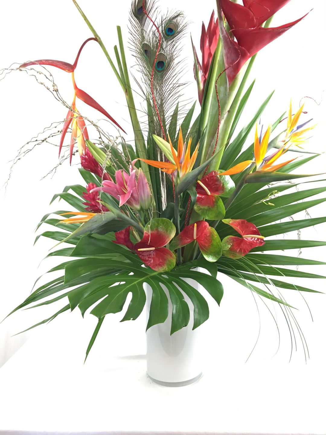 Jungle Bird 