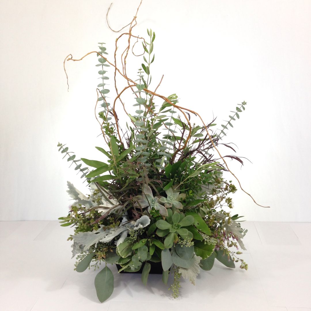 Succulent Forest
