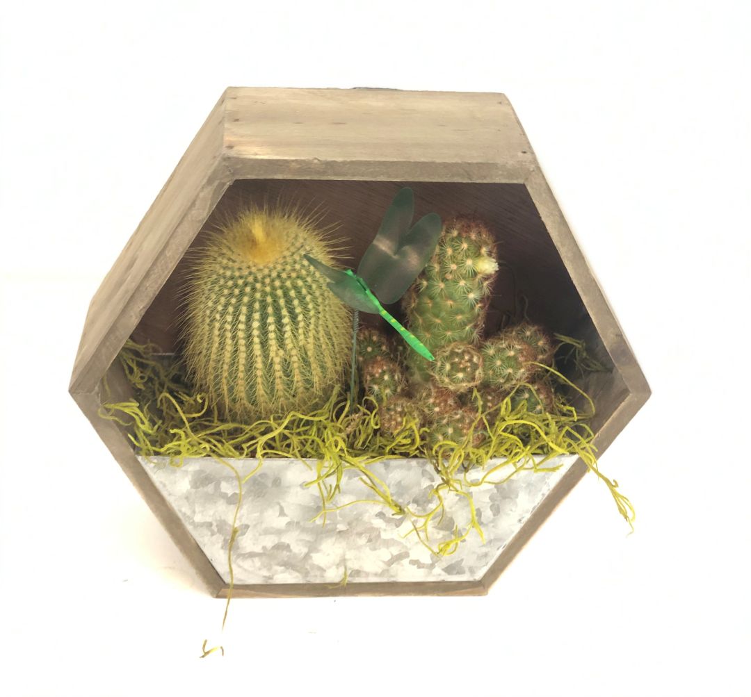 Small Hexagon Hanger