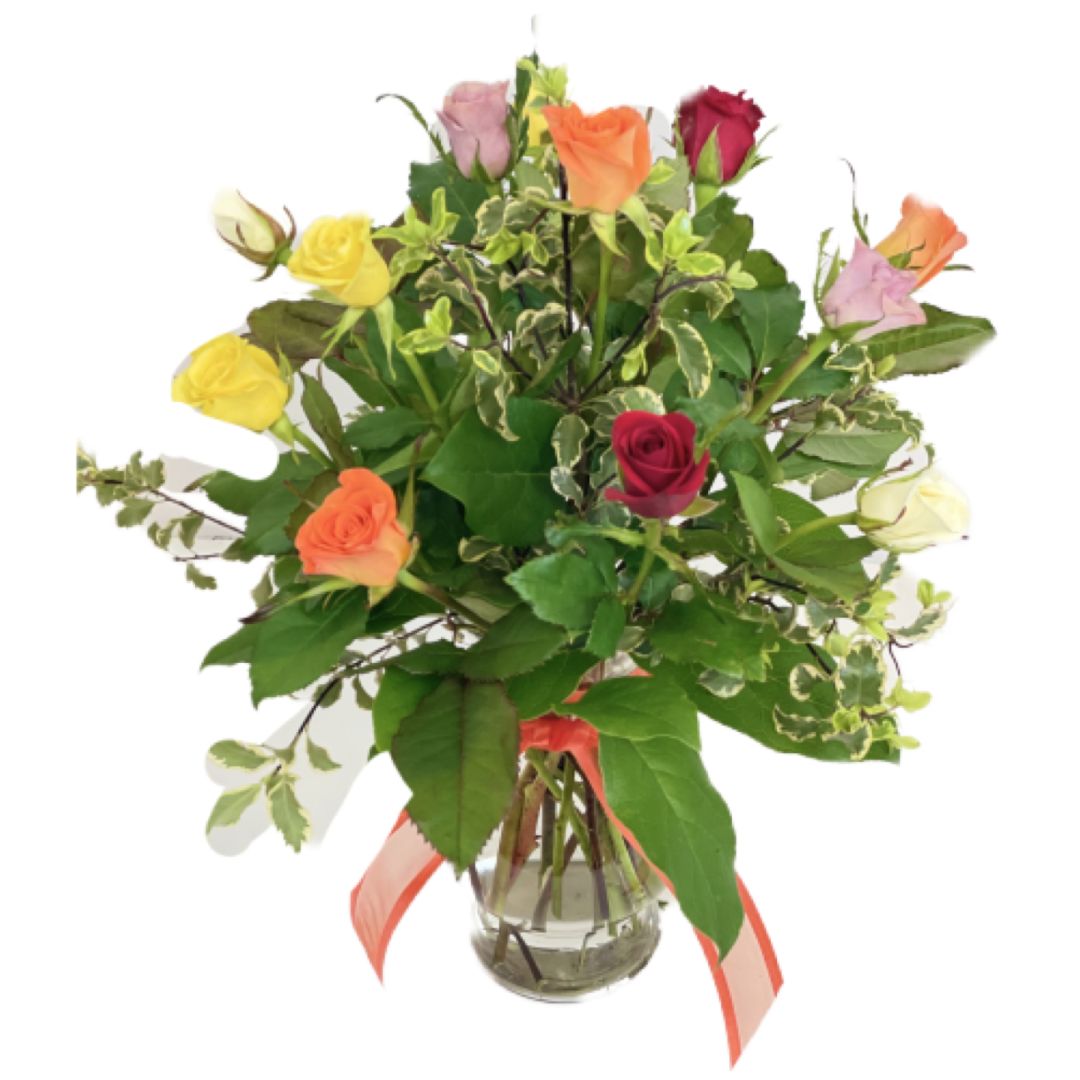 1 dz. Assorted Color Baby Roses