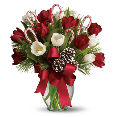 Tulips + Candy Canes