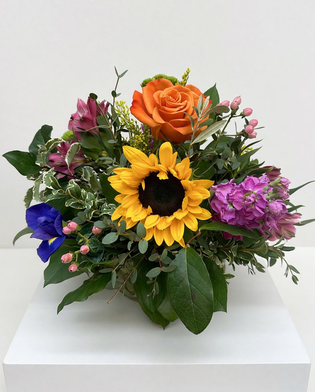 Uptown Sunflower Bright Mix