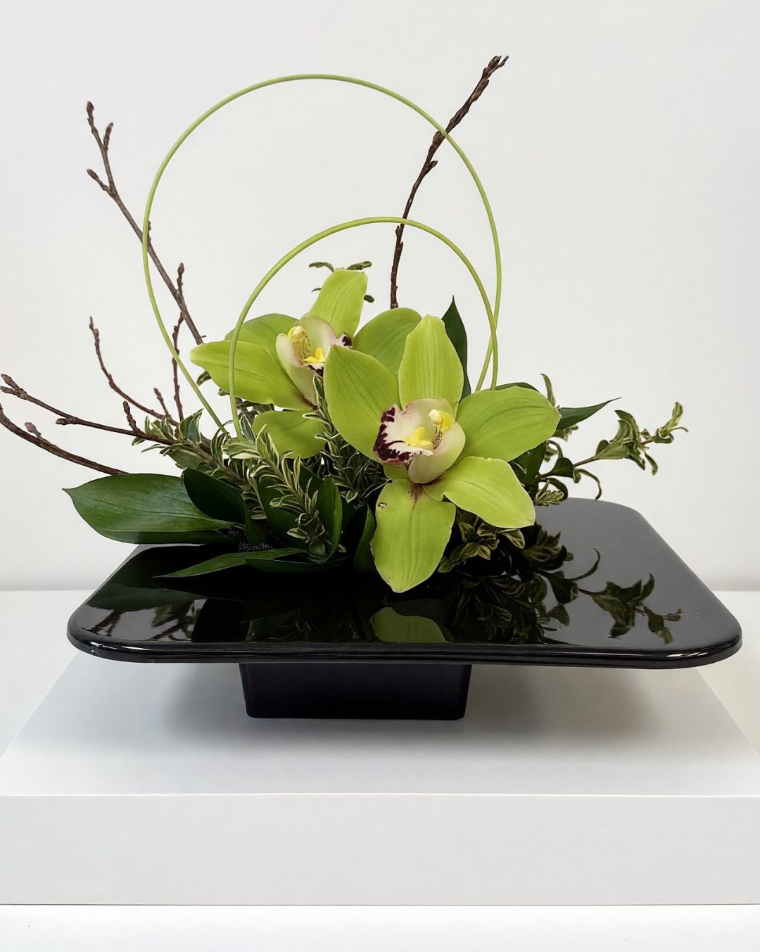 Orchid Special