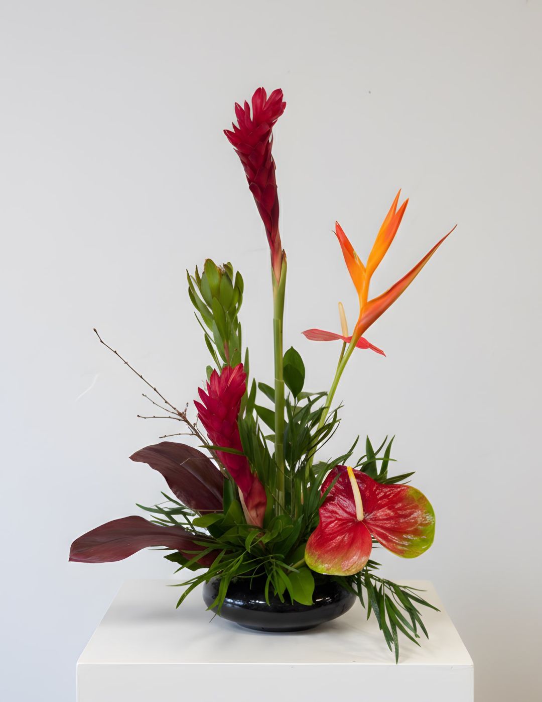 Uptown Tropical
