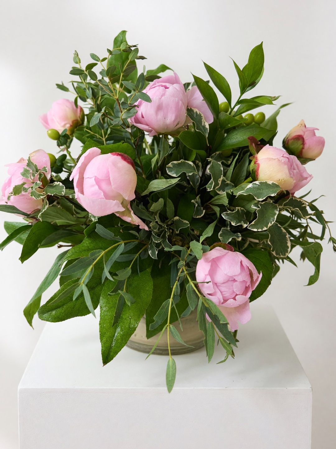 Peony Special