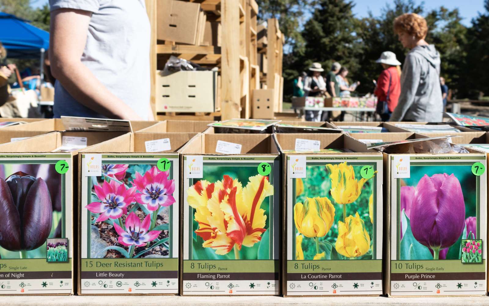 Spring Plant Sale