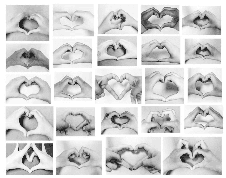 Soft focused close-up of delicate spring flowers in a sun-drenched greenhouse