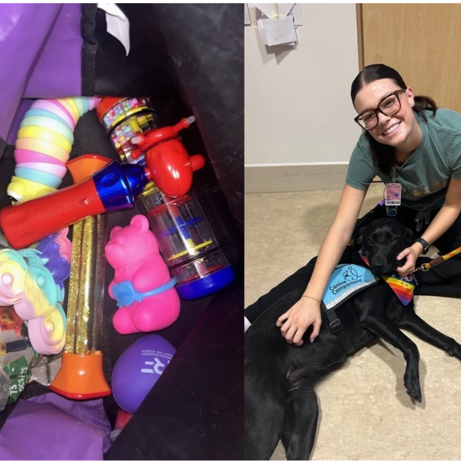 Pet Therapy and Toys