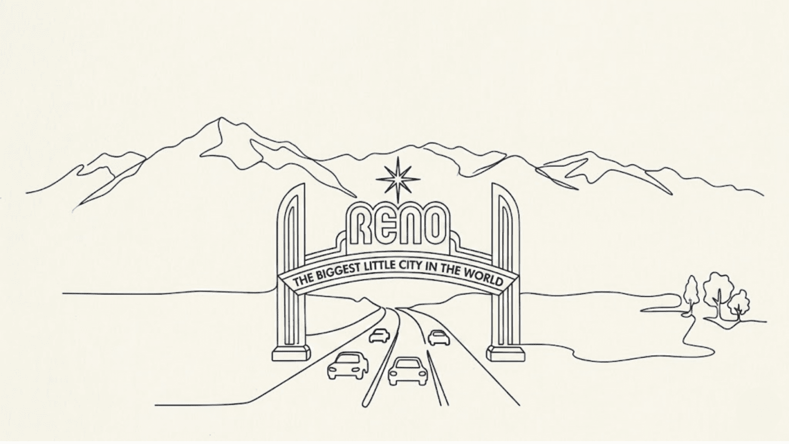 Beautiful vibrant fresh flowers