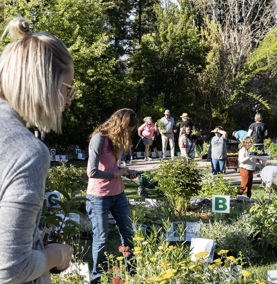 Fall Bulb Festival