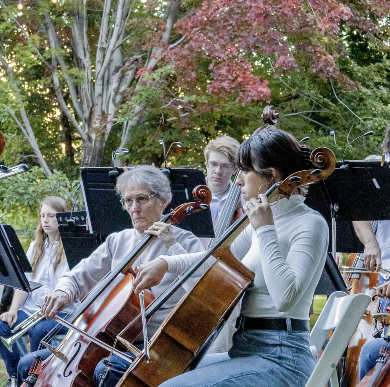 Picnic in the Park Music Series