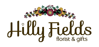 HillyFields-Demo