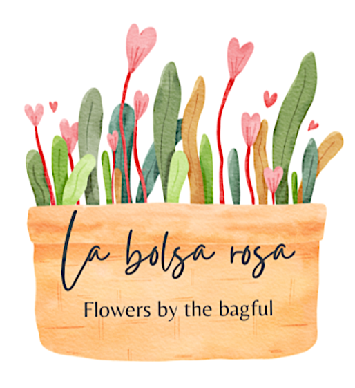La Bolsa Rosa Minnesota