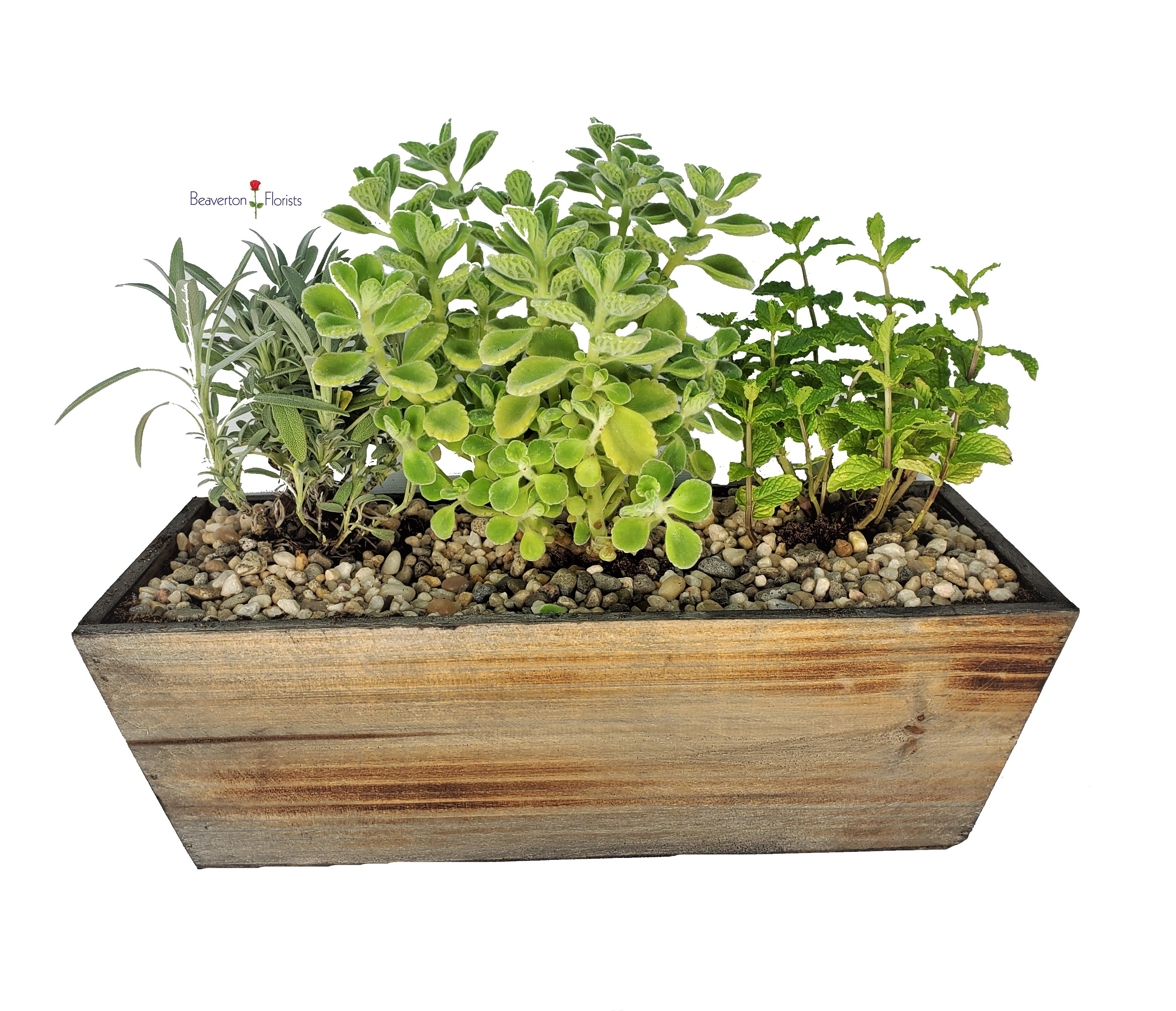 Herb Window Planter As Shown