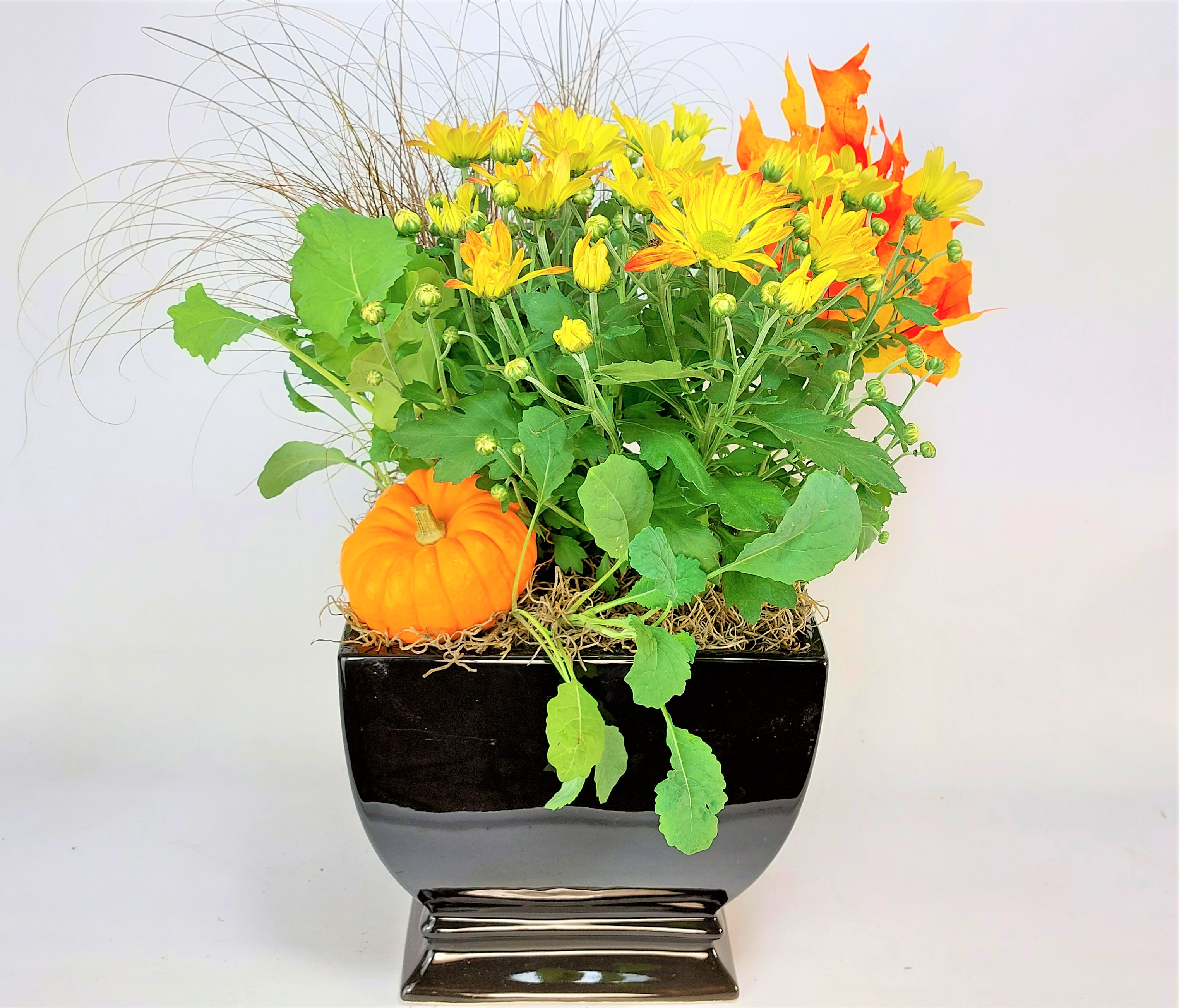 Autumn Leaves Planter As Shown