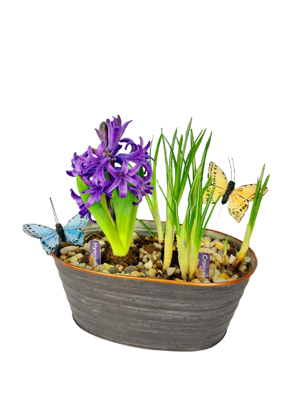 Small Bulb Garden As Shown