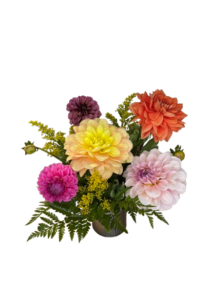 Oh My Dahlia Bouquet As Shown