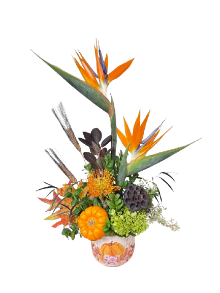 Pumpkin in Paradise As Shown