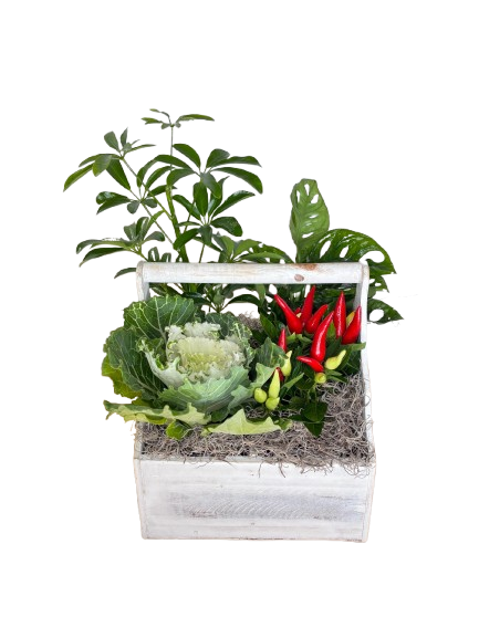 Garden Box Planter As Shown