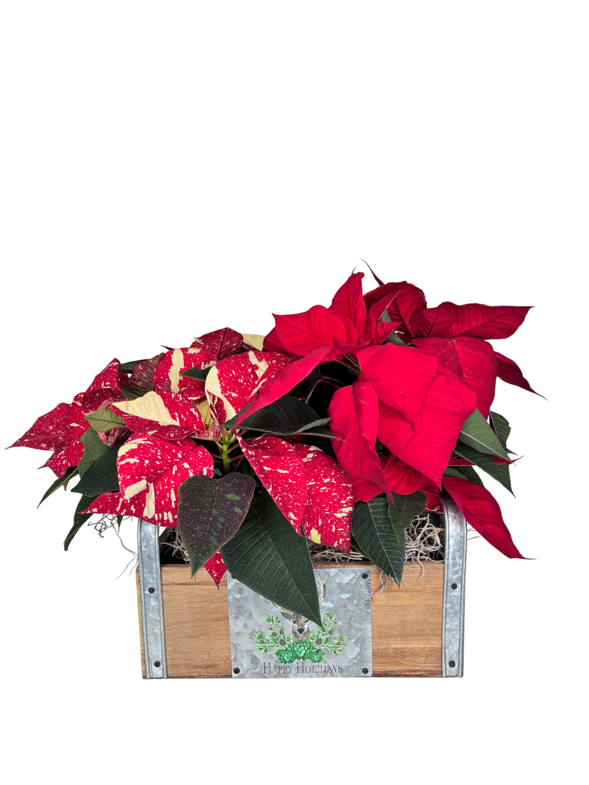 Happy Holidays Planter As Shown