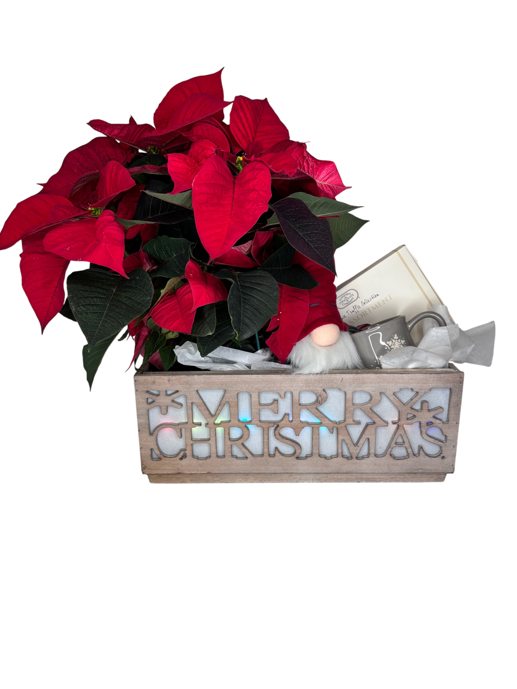 Merry Christmas Gift Planter As Shown