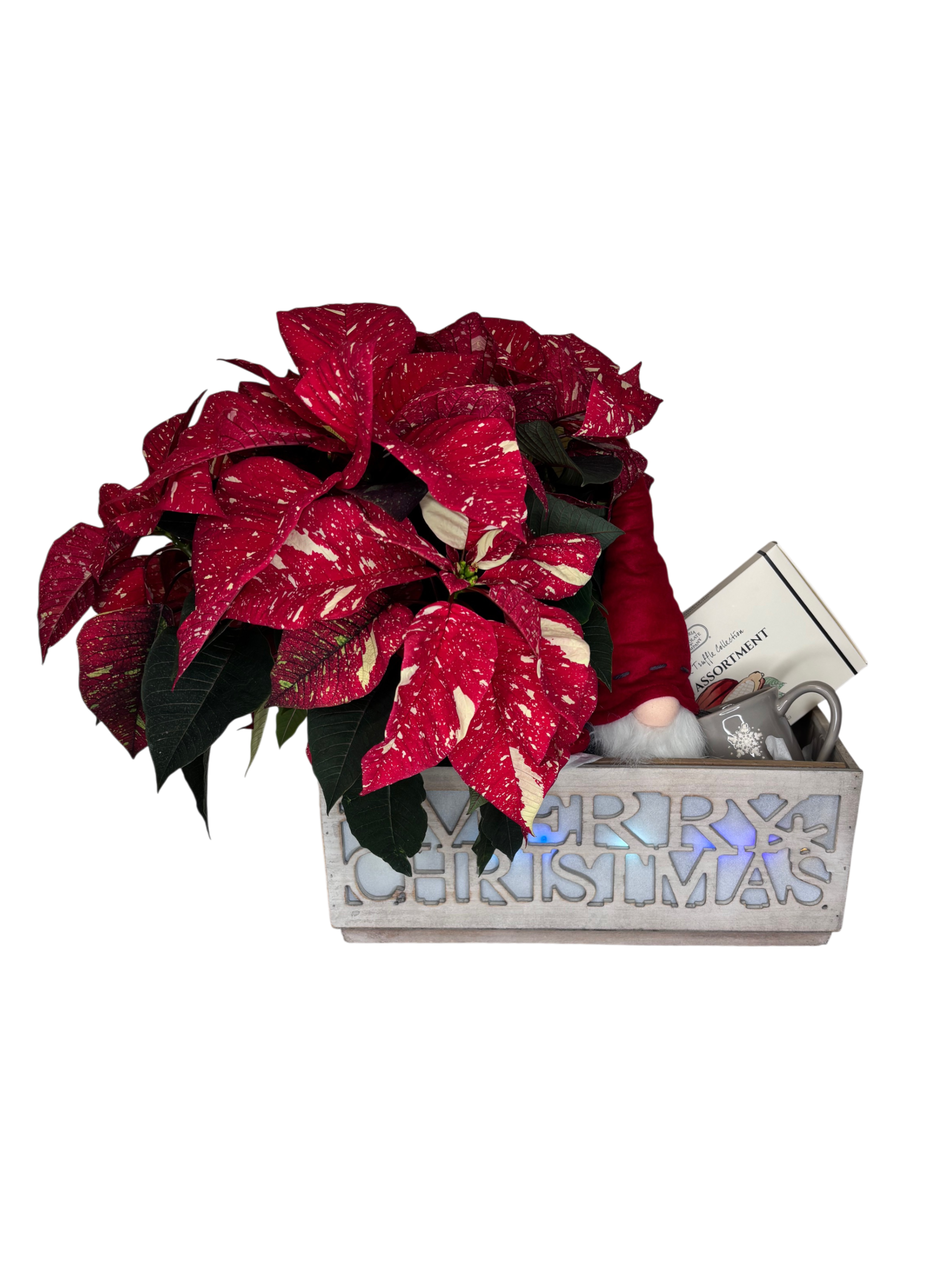 Merry Christmas Gift Planter Dark Chocolate As Shown