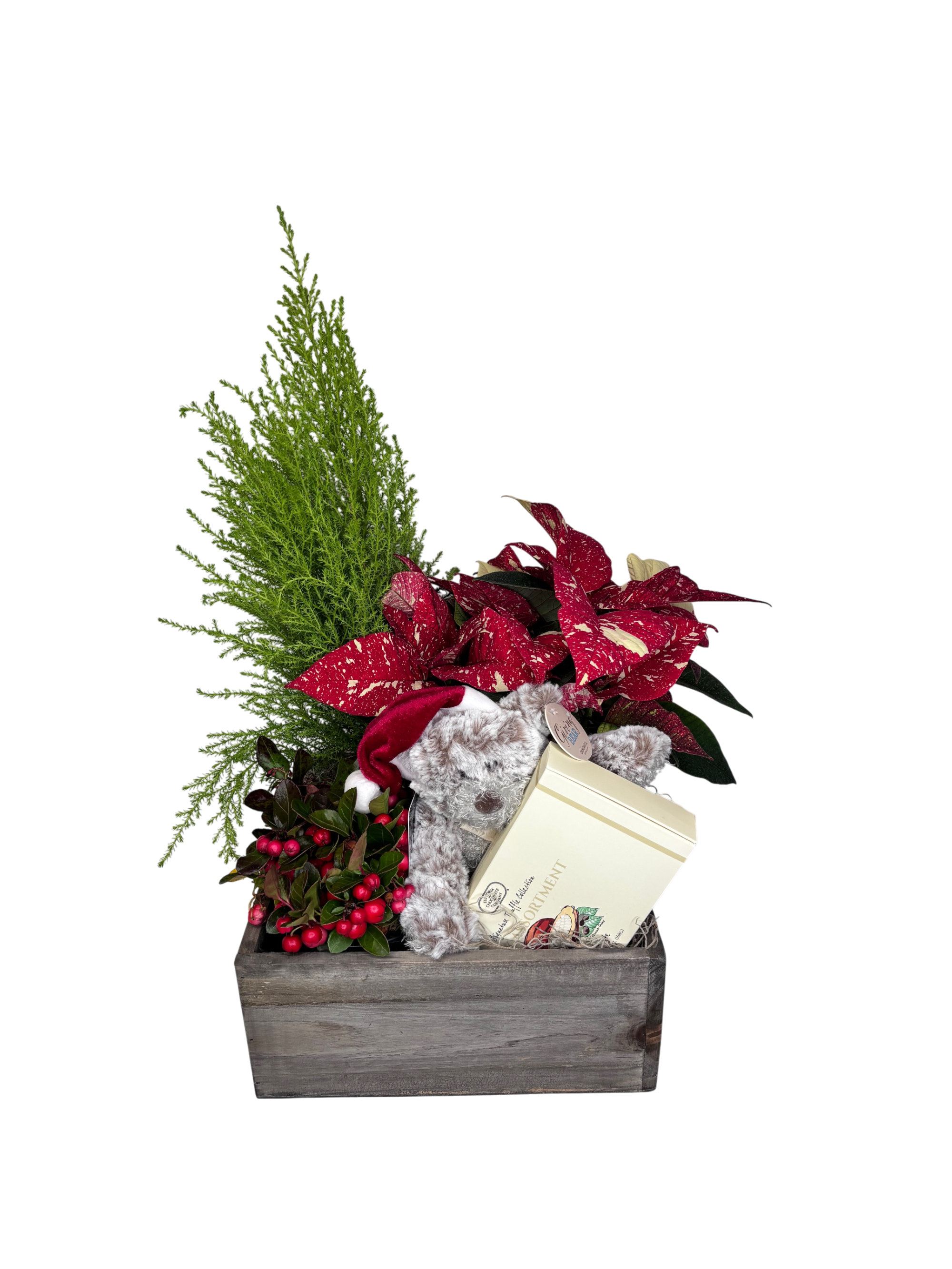 Giving Bear Planter As Shown