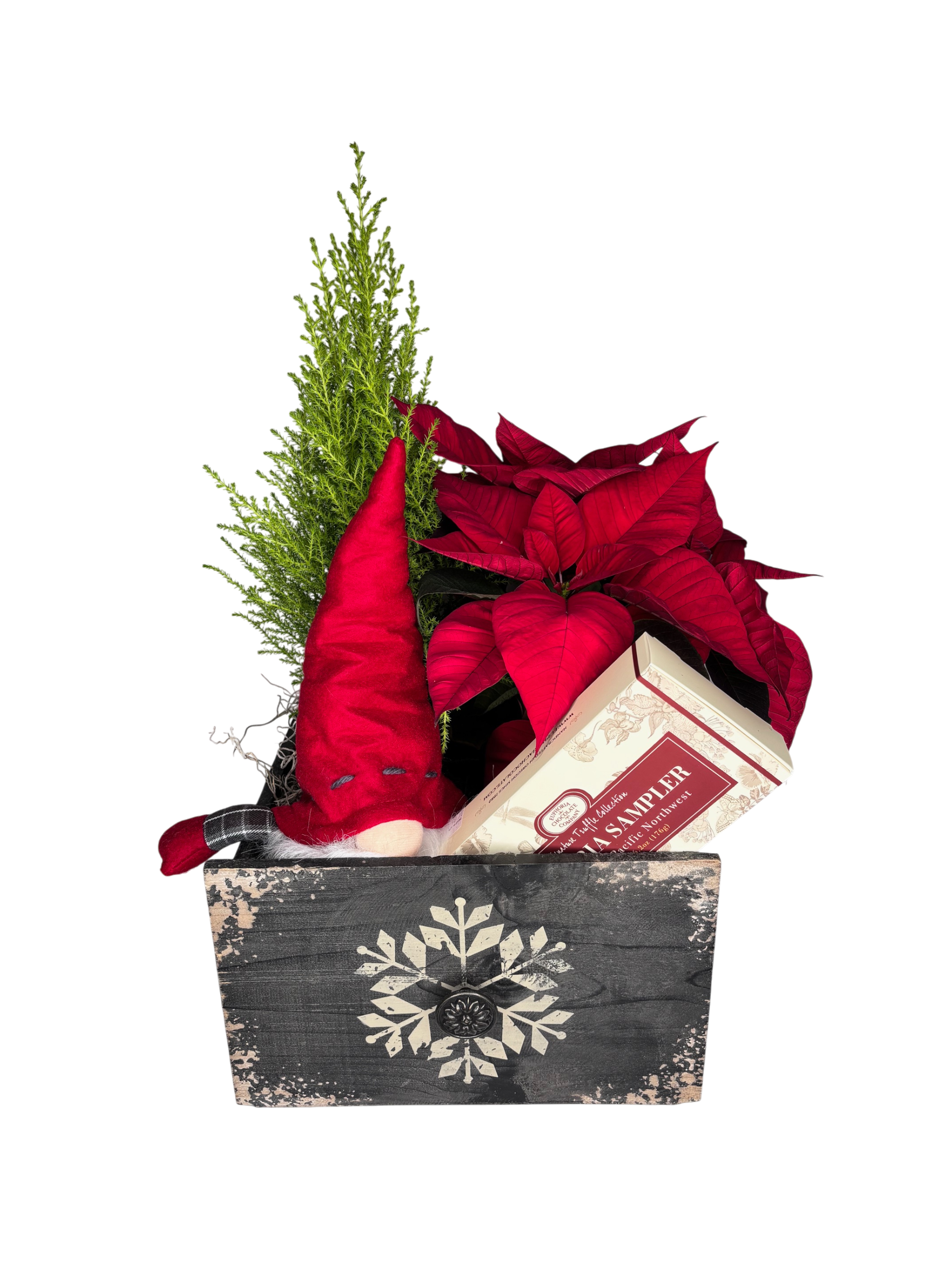 Gnome Buddy Planter As Shown