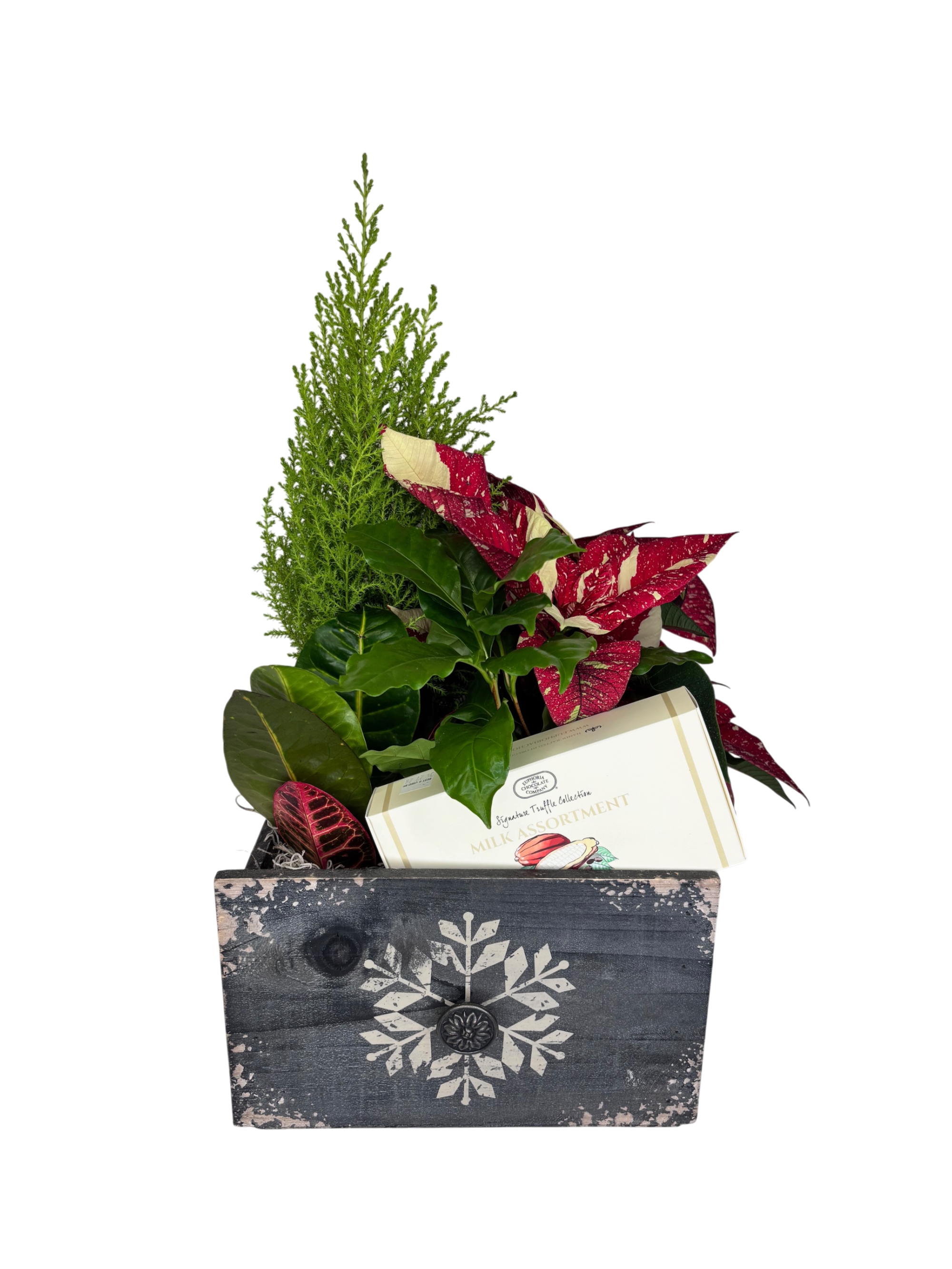 Jingle Bell Poinsettia Planter As Shown