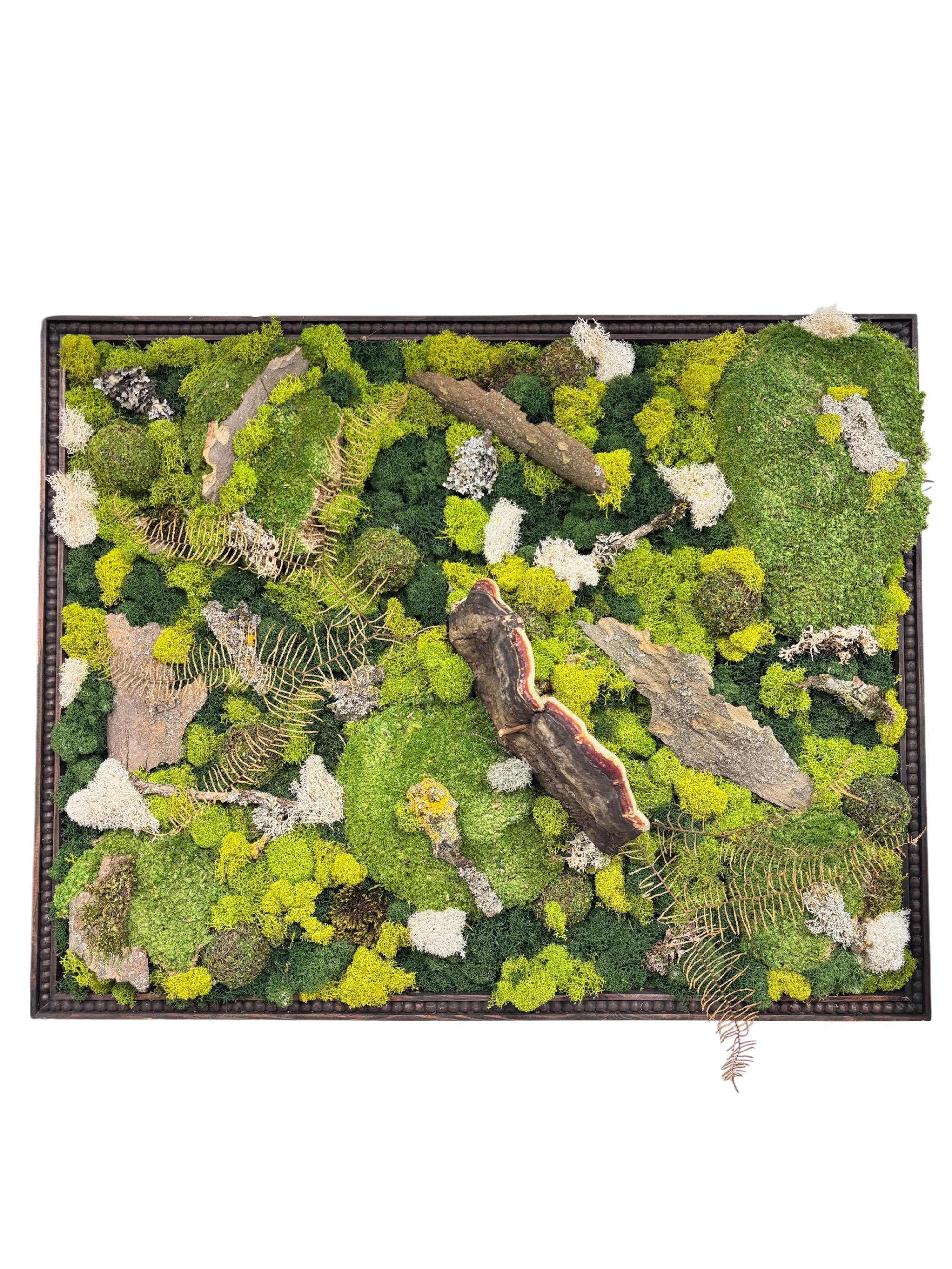 XL Preserved Moss Landscape As Shown