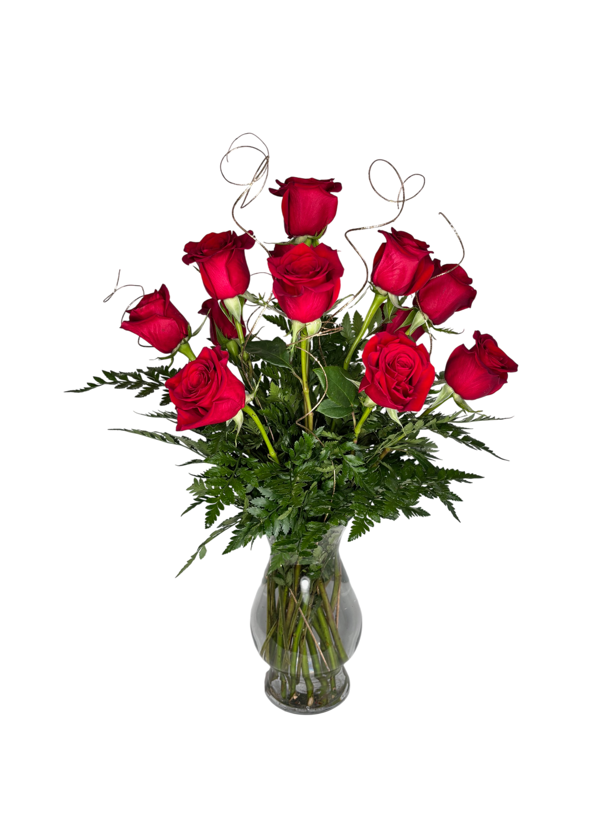 The Dazzle Dozen As Shown