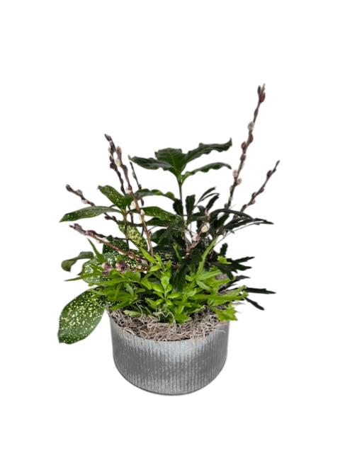 Radiant Foliage Planter As Shown