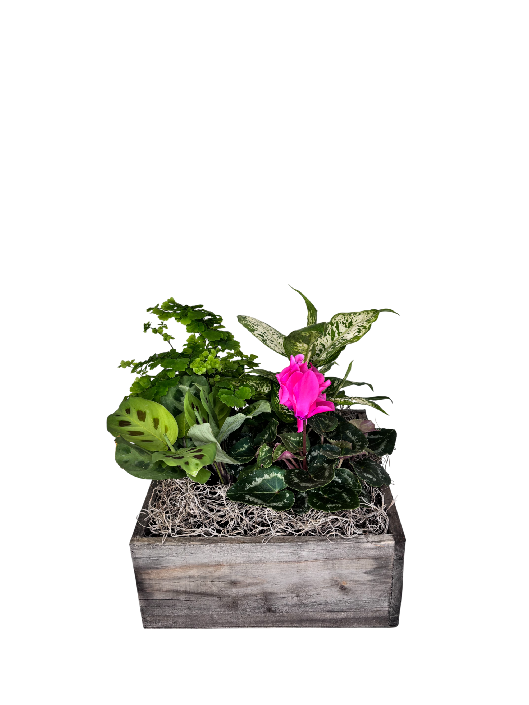 4 Square - Bailey As Shown