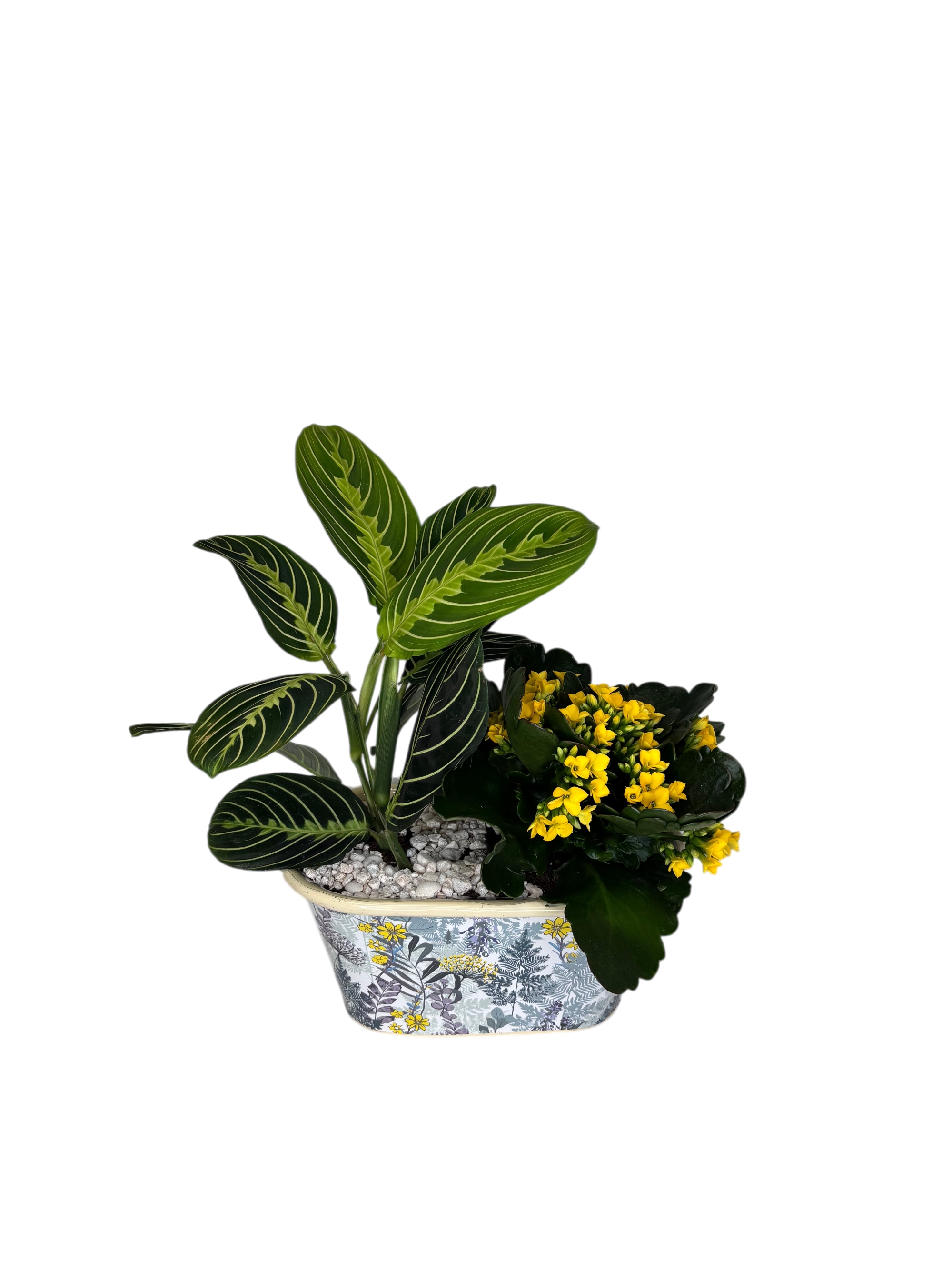 Window Garden - Casey As Shown