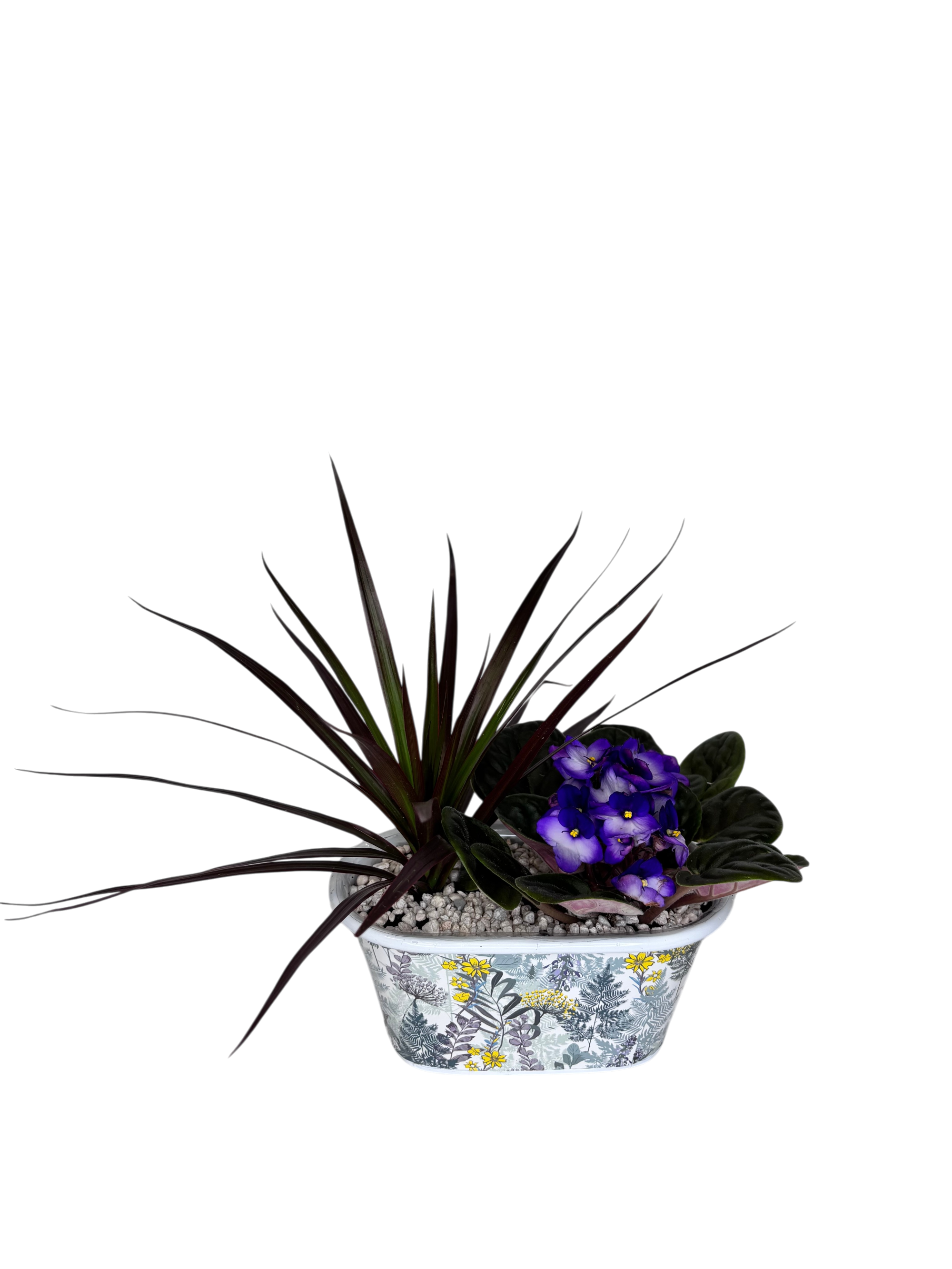 Window Garden - Violet As Shown