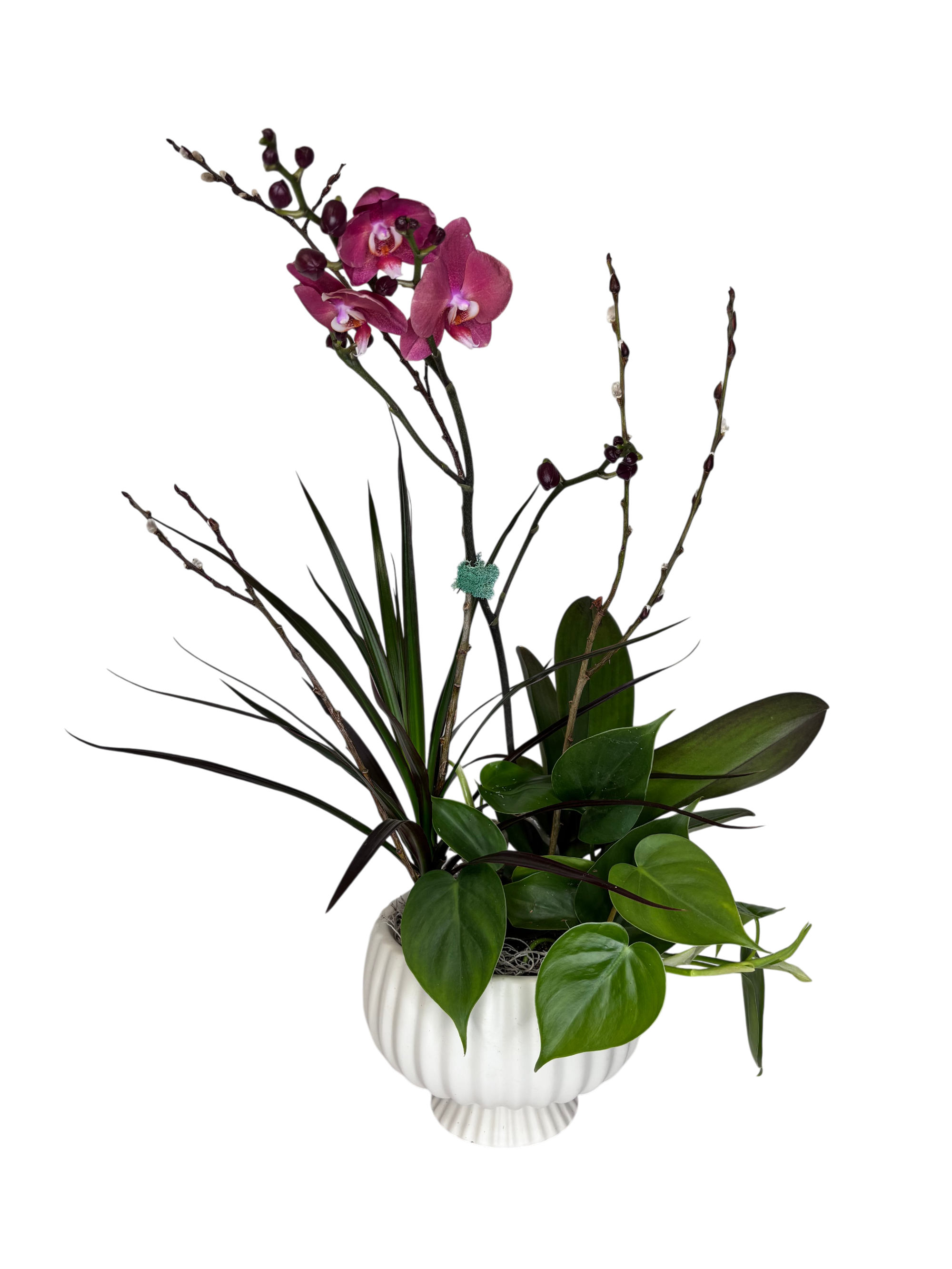 Posh Orchid Planter As Shown