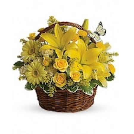My Lady's Florist Westland - Wishes do come true, by the basketful, actually. This delightful arrangement is so full of sunny blossoms, it even includes a pretty yellow butterfly who obviously feels right at home, basking in the warmth.