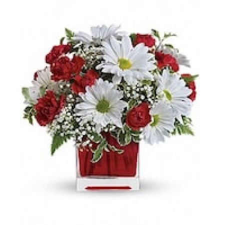 My Lady's Florist Westland - Make her day! Send your special someone this charming bouquet arranged in a ruby red glass cube. It's a gift that will surely delight!