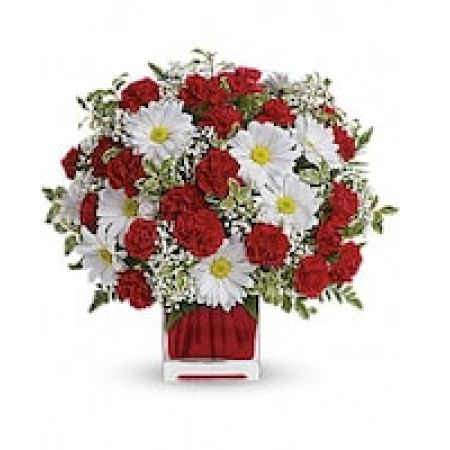 Red And White Delight by Teleflora