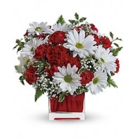 Red And White Delight by Teleflora