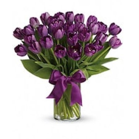 Passionate Purple Tulips