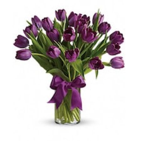 Passionate Purple Tulips