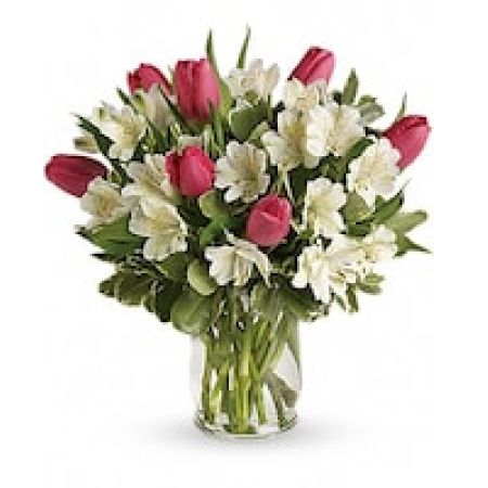 My Lady's Florist Westland - Romance buds in the spring - and it blooms beautifully in this charming bouquet of tulips and alstroemeria. Presented in an elegant hurricane vase, it's a heartfelt gesture she'll remember through all seasons.
