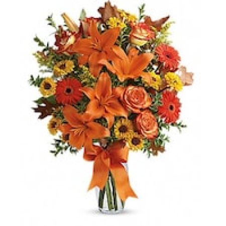 Burst of Autumn