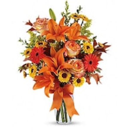 Burst of Autumn