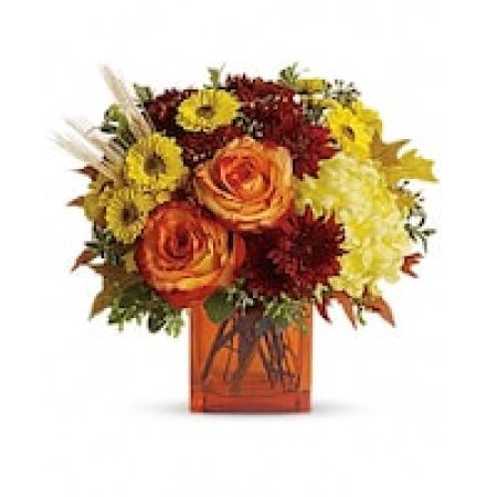 My Lady's Florist Westland - Autumn is an awesome season and it's meant to be celebrated in style. Rich fall hues are on brilliant display in this beautiful arrangement that comes delivered in a classic cube vase.