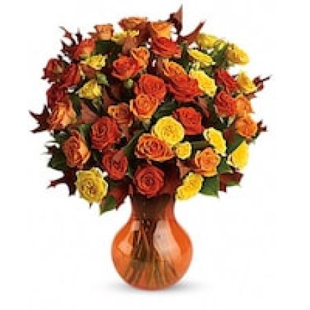 Teleflora's Fabulous Fall Roses